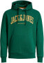 Фото #1 товара Толстовка спортивная Jack & Jones JJEJOSH Standard Fit 12236513 Темно-зеленая