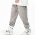 Фото #3 товара Спортивные брюки GAONCREW 2020SS-PPDG39 Deep Gray