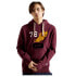 Фото #1 товара SUPERDRY Collegiate State hoodie