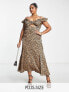 Фото #1 товара Never Fully Dressed Plus frill sleeve cut-out maxi dress in leopard