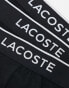 Фото #3 товара Lacoste 3 pack of briefs in black