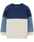 Baby Colorblock Fleece Pullover 6M