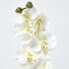 Фото #7 товара 2er-Set Künstliche Orchideen 43 cm