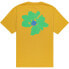 ფოტო #2 პროდუქტის ELEMENT Feeling It short sleeve T-shirt