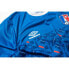 ფოტო #6 პროდუქტის UMBRO France Chest Panel World Cup 2022 short sleeve T-shirt
