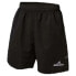 MERCURY EQUIPMENT Millenium Shorts