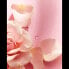 Фото #5 товара Care & Roses Care Shower Gel