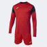 Фото #1 товара Joma Phoenix GK 102858.601 goalkeeper kit