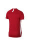 Dry Acdmmy Erkek Spor T-Shirt AJ9996-657