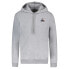 Фото #2 товара LE COQ SPORTIF 2310556 Essentials N°2 hoodie