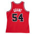 Mens Mitchell & Ness NBA SWINGMAN JERSEY - CHICAGO BULLS HORACE GRANT 1990-91