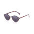 ფოტო #1 პროდუქტის PALOALTO Maryland Polarized Sunglasses