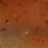 Фото #2 товара PRO CURE Super Gel Plus 56g Crawfish Liquid Bait Additive