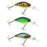 Фото #1 товара SAKURA SCB Micro Diver Floating crankbait 4.4g 39 mm