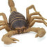 Фото #6 товара SAFARI LTD Scorpion Figure