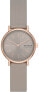 Фото #1 товара Часы и аксессуары Skagen Signature SKW3060