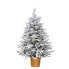 Фото #1 товара Новогодняя елка искусственная Shico Позолоченный полиэтилен снежный 58 x 58 x 90 см
