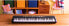 Yamaha PSR-EW310 Black Keyboard - Portable Digital Keyboard for Beginners - 61 Keys & Various Music Styles - With Voucher for 2 Personal Online Lessons at Yamaha Music School