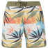 PROTEST Addo Swimming Shorts