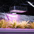 Фото #5 товара Светодиодная лампа для растений hillvert HT-WEDGE-1200