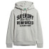 Фото #2 товара SUPERDRY Embroidere Script Graphic hoodie