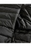 M Panel Turtle Neck Jacket Erkek Siyah Mont S212030-001