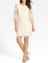 Erin Erin Fetherston Maybelle Rose Lace Shift Cocktail Mini Dress Size 10