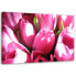 Фото #1 товара Bild auf leinwand Tulpen Blumen Rosa