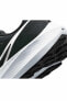 Air Zoom Pegasus 39 Erkek Günlük Spor Ayakkabı Dh4071-001-sıyah-byz