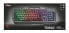 Trust GXT 856 Torac - Full-size (100%) - USB - Membrane - QWERTZ - RGB LED - Black