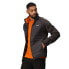 Фото #7 товара REGATTA Clumber IV Jacket