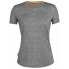 Фото #1 товара ICEBREAKER Sphere II Merino short sleeve T-shirt