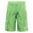 Фото #1 товара ALPINE PRO shorts