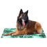 FREEDOG Cool Bed 110x70 cm Cooling Mat