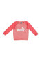 Pembe Erkek Eşofman Takımı 84614335 Minicats ESS Raglan Jogger