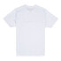 RVCA Big short sleeve T-shirt