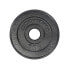 Фото #1 товара BODYTONE Iron Weight Plate 1kg