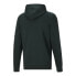 Фото #2 товара Puma Layered Graphic Pullover Hoodie Mens Size M Casual Outerwear 84801880