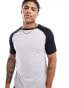 Threadbare raglan t-shirt in grey & black