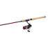 Фото #2 товара Shimano SIENNA SPINNING COMBO, Freshwater, Combo, Spinning, 7'0", Medium Heav...