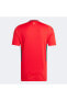 Galler Milli Takım Erkek Kırmızı Futbol Forması