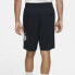 Nike SB Sunday Shorts CK5120-475