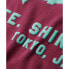 ფოტო #5 პროდუქტის SUPERDRY Neon Vl short sleeve T-shirt