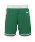 ფოტო #1 პროდუქტის Little Boys and Girls Kelly Green Boston Celtics Icon Replica Shorts