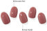 Nagellack-Aufkleber-Set - Ohora Semicured Gel Nail (30 St.) N Tint Soda N Tint Soda - фото #5