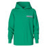 Фото #1 товара NAPAPIJRI B-Fuji hoodie