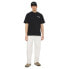 Фото #10 товара DICKIES Herndon short sleeve T-shirt