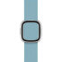 APPLE Modern Buckle Strap 38 mm