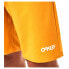 Фото #6 товара OAKLEY APPAREL Double Up 20 RC Swimming Shorts