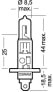 Фото #4 товара Osram 64150-01B - 55 W - 1550 lm